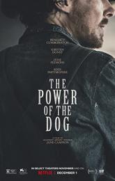 The Power of the Dog poster