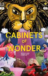 Cabinet of Wonder poster