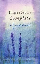 Imperfectly Complete poster