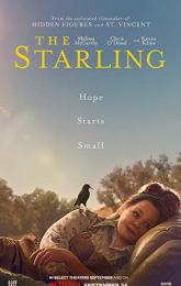 The Starling poster