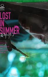 Lost in Summer poster