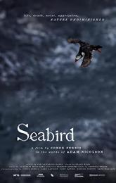 Seabird poster
