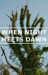 When Night Meets Dawn poster