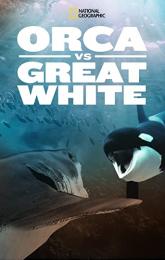 Orca vs. Great White poster