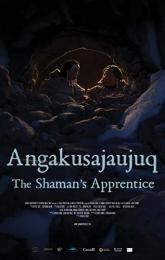 The Shaman's Apprentice poster