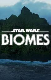 Star Wars Biomes poster