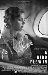 A Bird Flew In poster
