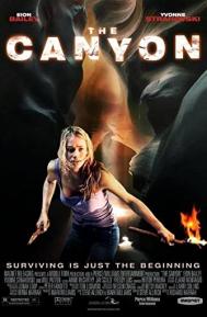 The Canyon poster