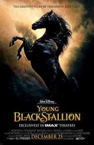 The Young Black Stallion poster