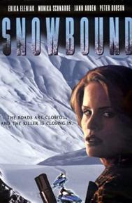 Snowbound poster
