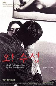 Virgin Stripped Bare by Her Bachelors poster