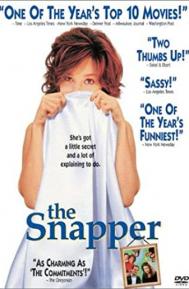 The Snapper poster
