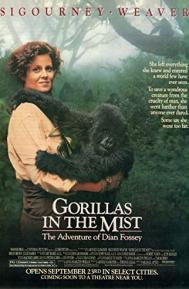 Gorillas in the Mist poster