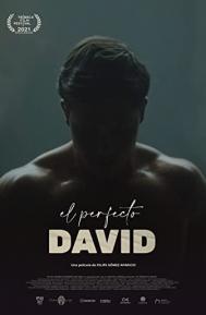 The Perfect David poster